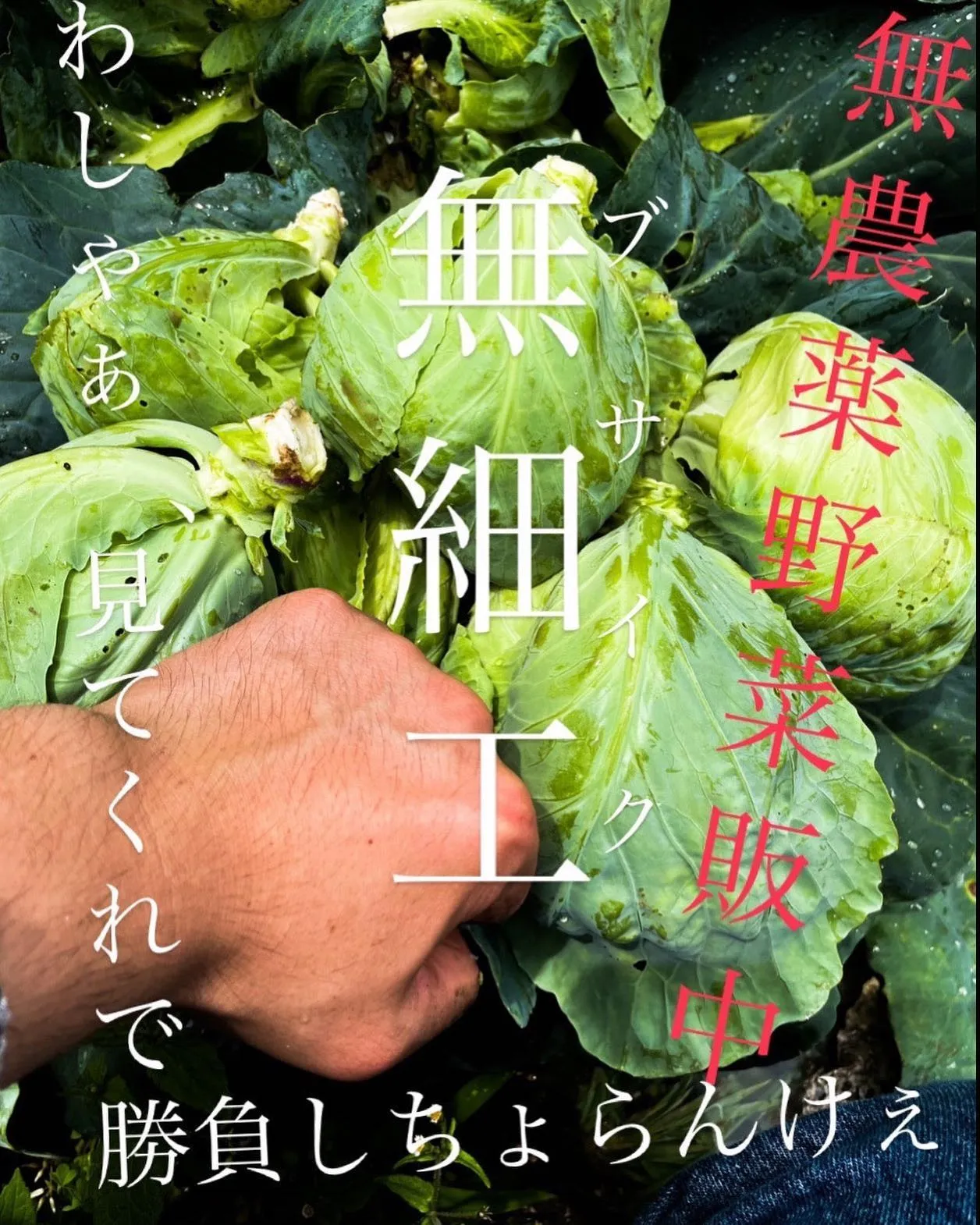 【コラボ企画】